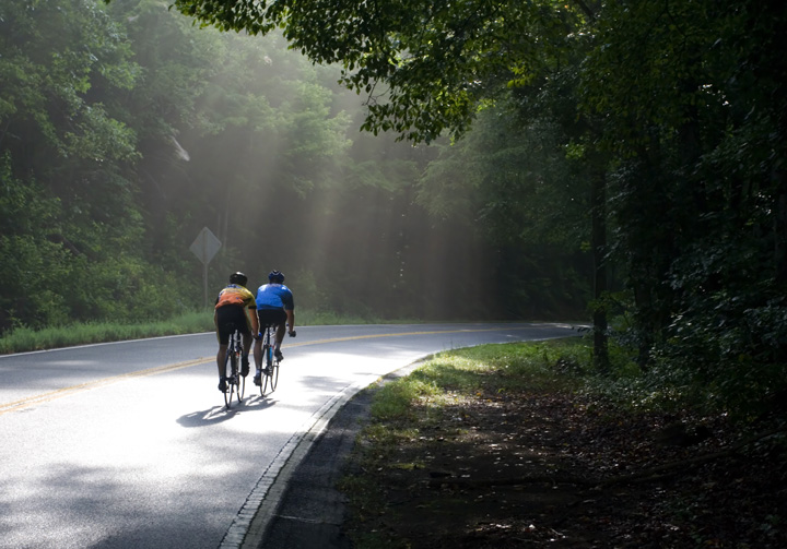 Rainforest Bicycle Tour